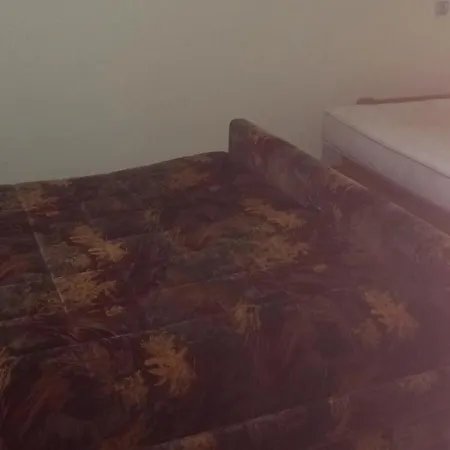 Apartment Dimitrijevic *